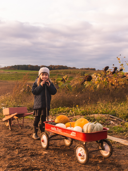 Sortie scolaire / préscolaire